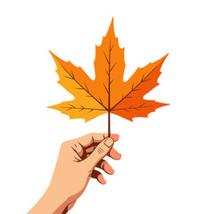 Hand holding autumn maple leaf on white background, fall season nature concept