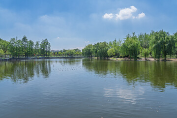 The reflection of the city oasis in the lake under the blue sky and white clouds