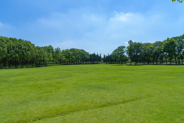 Park green space under blue sky