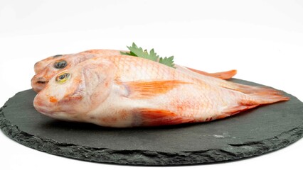 Raw red tilapia fish is a kind of freshwater fish consumption, isolated on white background