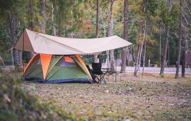Camping Tent with Lights in Peaceful Forest Park