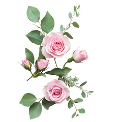 Delicate pink roses and eucalyptus leaves arranged beautifully against a black background a lovely floral composition © Tohamina
