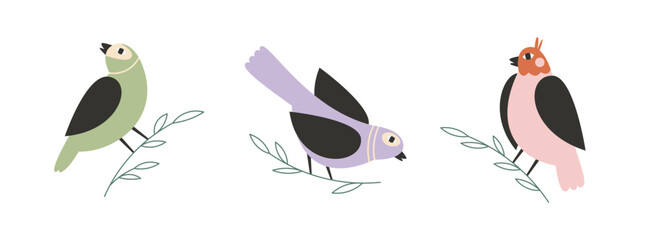 Cute cartoon birds clipart – colorful birds on branches