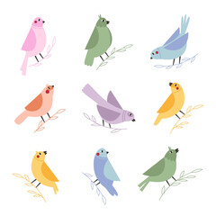 Cute cartoon birds on branches – colorful bird clipart vector set