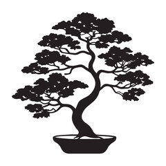 bonsai tree isolated on white