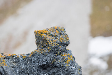 Bunter Stein, Felsen in der unberührten Natur der Arktis