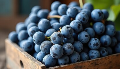 blueberries in a wooden bowl