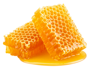 Fresh honeycomb with Sweet honey on a transparent background.