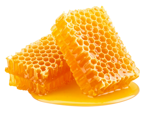Fresh honeycomb with Sweet honey on a transparent background.