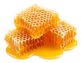 Fresh honeycomb with Sweet honey on a transparent background.