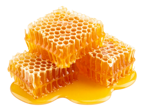 Fresh honeycomb with Sweet honey on a transparent background.