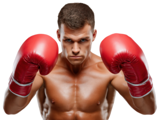 Intensity in the Ring: A focused boxer, clad in vibrant red gloves, exudes power and determination, gazing intently at the camera. His sculpted physique speaks volumes.