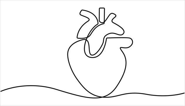 One continuous line drawing of lungs. Human heart, Continuous single-line drawing of human internal organ. Human heart Vector illustration. Human lungs, drawn with continuous line in minimalism.
