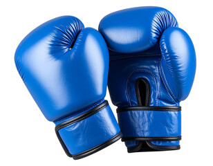 Blue Boxing Gloves Pair Side by Side, Transparent