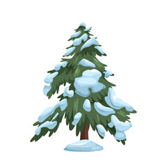Winter fir tree isolated or snowy evergreen plant. Forest and wood, natural snow park element. Cold forestry timber or trunk. Woodland environment. Flora for new year or Christmas spruce. Botany.