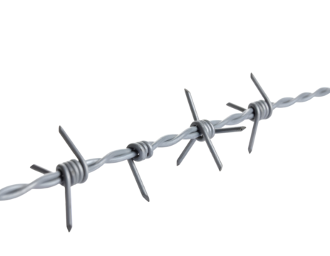 Sharp metallic barbs on a twisted wire strand symbolize security and restricted access