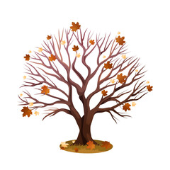 Naked maple or autumn tree with fallen leaves. Vector symbol for seasonal nature and forest in the fall. Wood and natural flora. Woodland wildlife without leaf. Ecosystem element. Biology and botany.