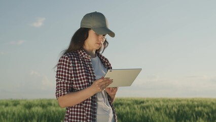 farmer works with a tablet in a field with green wheat, the concept of farming business, an...