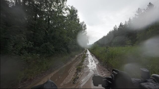 cycling in nature in wild places, bike-packing. Riding in the forest in the rain