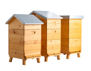 Three modern wooden beehives stand ready for honey production and bee colony flourishing.