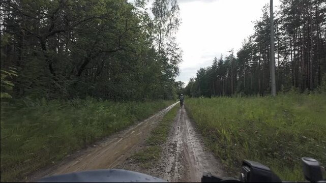 cycling in nature in wild places, bike-packing. Riding in the forest in the rain