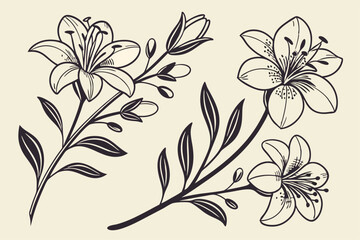 Elegant vintage botanical engravings featuring detailed floral illustrations
