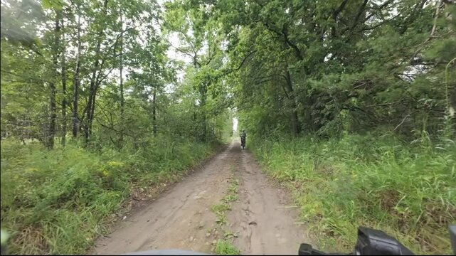 cycling in nature in wild places, bike-packing. Riding in the forest in the rain