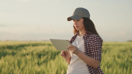 farmer works with a tablet in a field with green wheat, the concept of farming business, an...