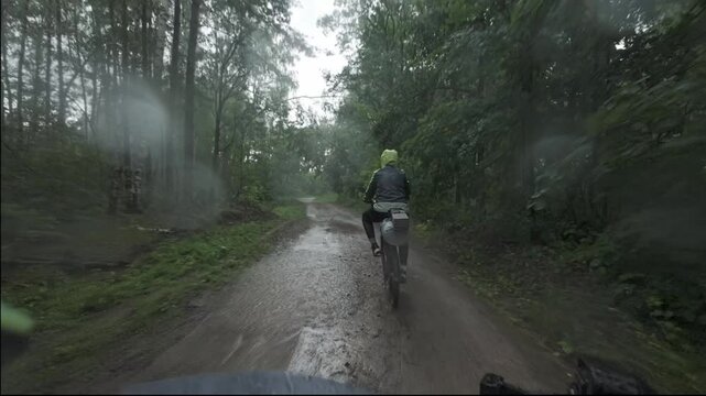 cycling in nature in wild places, bike-packing. Riding in the forest in the rain