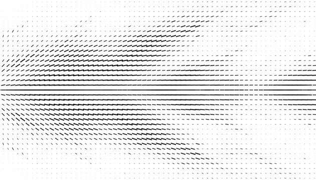 Black and white abstract dynamic movement of dash line. For modern background and jersey design. Vector Format Illustration 