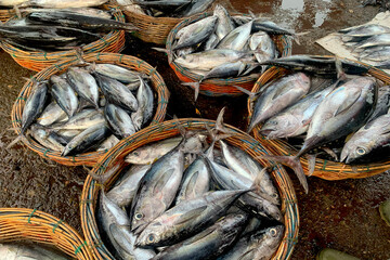 Large and small selection for export