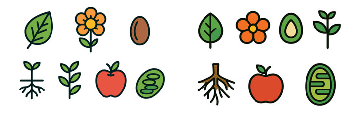 Colorful plant and fruit illustrations showing growth stages and types in a simple, modern style on a white background