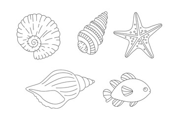 Seashells, starfish and tropical fish coloring page vector illustration for ocean themed art and relaxing activities
