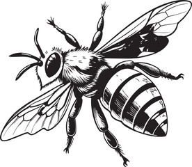 A collection of whimsical and stylized bee illustrations