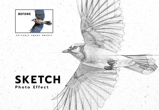 Sketch Art Photo Effect