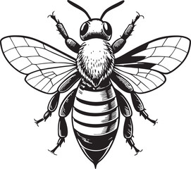 A collection of whimsical and stylized bee illustrations