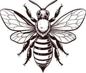 A collection of whimsical and stylized bee illustrations
