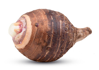 Taro isolated on transparent png