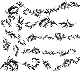 floral design elements Botanical floral illustration 