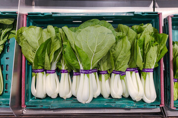 Fresh bundles of bok choy neatly arranged in a green plastic crate at a supermarket produce...