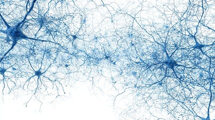 Complex Network of Blue Neurons Against a White Background