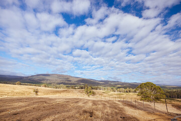 Ellendale Landscape in Tasmania Australia