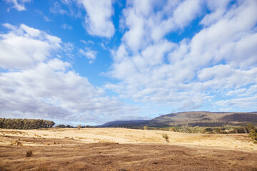 Ellendale Landscape in Tasmania Australia