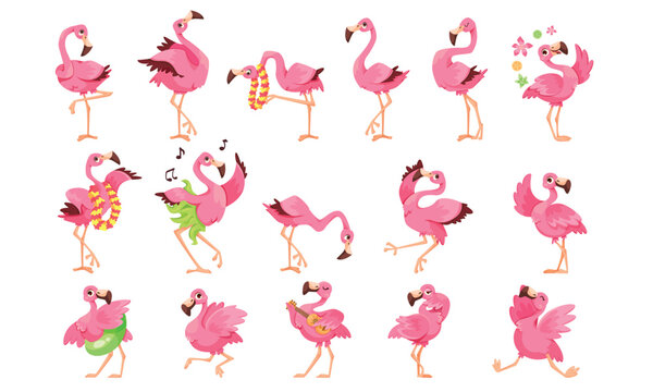 A Collection of Colorful Cartoon Flamingos Captured in Various Fun and Playful Poses