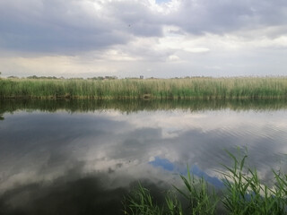 Peaceful lake reflecting blue sky, surrounded by green rural landscape, calm surface emphasizing...