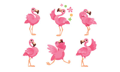 A delightful array of Playful Pink Flamingos portrayed in Various Artistic Poses and Stances