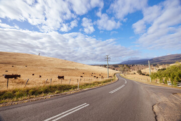 Ellendale Landscape in Tasmania Australia