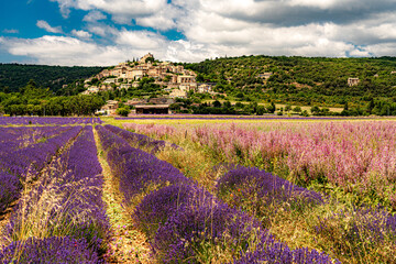 Farben der Provence; F, Provence, bl&uuml;hende Lavendelfelder und Muskateller-Salbei vor Simiane la Rotonde