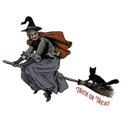 Vintage Flying Witch with Black Cat on Broomstick - Halloween Hand Drawn Engraving Illustration