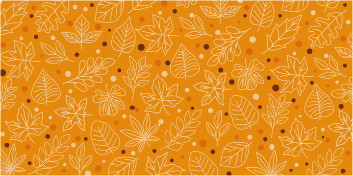 Autumnal leaves pattern. autumn botanical graphic elements. Autumnal plant decoration pattern. Vector illustration.